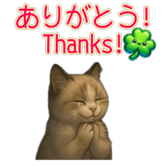 [LINEスタンプ] ラグドール子猫の推し活2