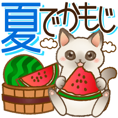 [LINEスタンプ] 大きくてみやすい！でか文字 はぴきゃと夏