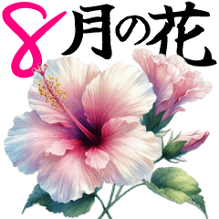 [LINEスタンプ] 8月 夏の花 大きくて見やすい挨拶スタンプ