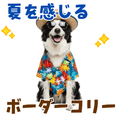 [LINEスタンプ] ゆるサマー★ボーダーコリースタンプ