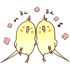 [LINEスタンプ] かわいいインコ達のスタンプ 