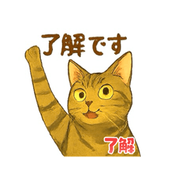 [LINEスタンプ] 大豆くん_猫スタンプ