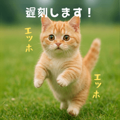 [LINEスタンプ] 遅刻する猫：エッホエッホ