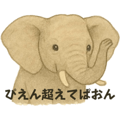 [LINEスタンプ] 令和の今どきアニマルズ⭐︎