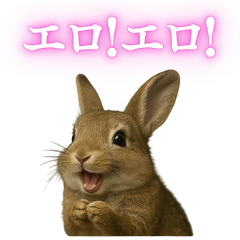 [LINEスタンプ] 【面白い・エロ】本物のウサギ