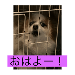 [LINEスタンプ] 日常に使える40スタンプ