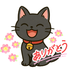 [LINEスタンプ] 私のくろにゃんスタンプ
