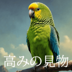 [LINEスタンプ] 静かに圧がすごいインコたち
