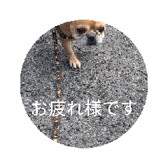 [LINEスタンプ] マロンアニメーション 