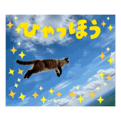 [LINEスタンプ] お酒とネコ好きな日常会話 42 