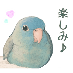 [LINEスタンプ] あるサザナミインコの日常