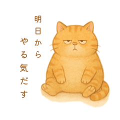 [LINEスタンプ] トラオの日常 茶トラ 猫好きスタンプの画像（メイン）