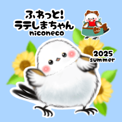 [LINEスタンプ] ふわっとラテしまちゃん2025夏スタンプ