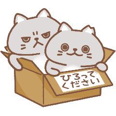 [LINEスタンプ] 地域ねこ兄弟 usamusiのスタンプ22