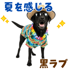 [LINEスタンプ] 黒ラブのゆるサマー★スタンプ
