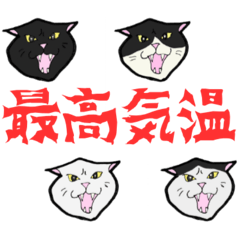 [LINEスタンプ] 【暑い】しゃーッ！夏の白黒にゃんず
