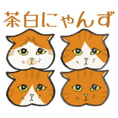 [LINEスタンプ] イカ耳だけど弱気な茶白にゃんず