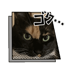 [LINEスタンプ] ちゃだぜ 