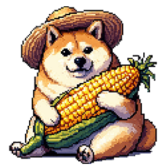 [LINEスタンプ] 夏の麦わら太っちょ柴犬