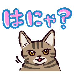 [LINEスタンプ] キジトラ猫です