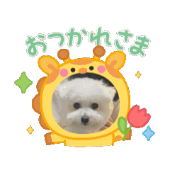 [LINEスタンプ] COCOSMILES fetchpriority=high