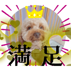 [LINEスタンプ] 黒さきプリン Circle