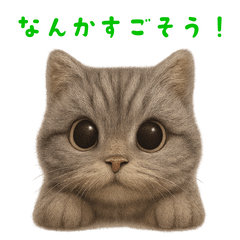 [LINEスタンプ] ぬいぐるみサバトラ猫【毎日使える】