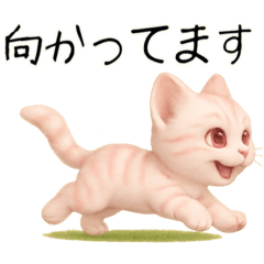 [LINEスタンプ] 推し猫【桃】……………..