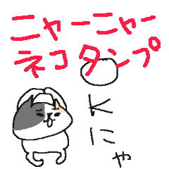 [LINEスタンプ] にゃんにゃんネコネーコ