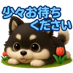 [LINEスタンプ] かわいい3Dポメラニアンの日常(敬語)