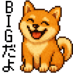 [LINEスタンプ] BIG！柴犬のドットスタンプ☆豆柴