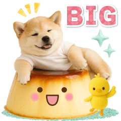 [LINEスタンプ] 癒ししばいぬの気軽な敬語スタンプ【BIG】