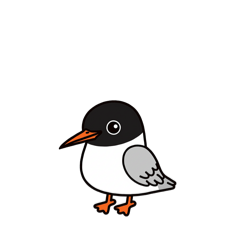 [LINEスタンプ] ゆりかもめん（挨拶 文字無し①）