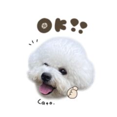 [LINEスタンプ] ラトくん☆mix
