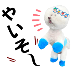 [LINEスタンプ] ビションフリーゼベンツくん遠州弁