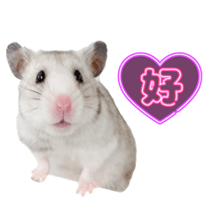 [LINEスタンプ] 最高なハムスターのスタンプ