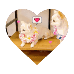 [LINEスタンプ] いぶすな親子 