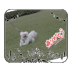 [LINEスタンプ] 珀＆玖 