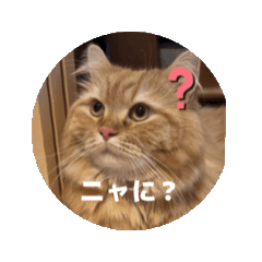 [LINEスタンプ] レオンLEON 本日のレオン♪01 