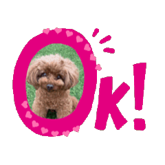 [LINEスタンプ] ひなたんウキウキスタンプ 