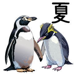 [LINEスタンプ] 夏に使えるペンギンスタンプ
