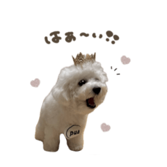 [LINEスタンプ] ぷあちゃん♡スタンダード