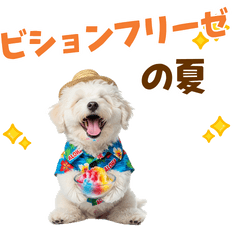 [LINEスタンプ] ふわふわビションの真夏日和