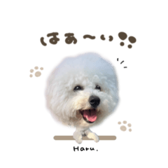 [LINEスタンプ] はるちゃん.deformation