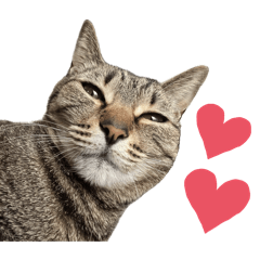 [LINEスタンプ] みきるし