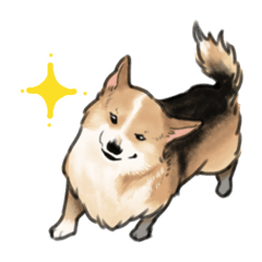 [LINEスタンプ] コーギーのシク＆りん