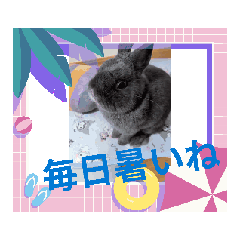 [LINEスタンプ] 動くもちの日常 