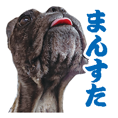 [LINEスタンプ] まん・すたんぷ