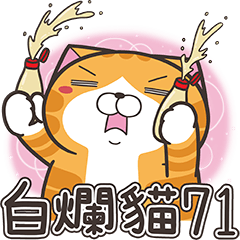 [LINEスタンプ] ランラン猫 71 (台湾版)