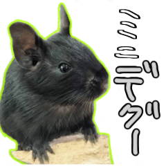 [LINEスタンプ] なかよしデグーワールド 4